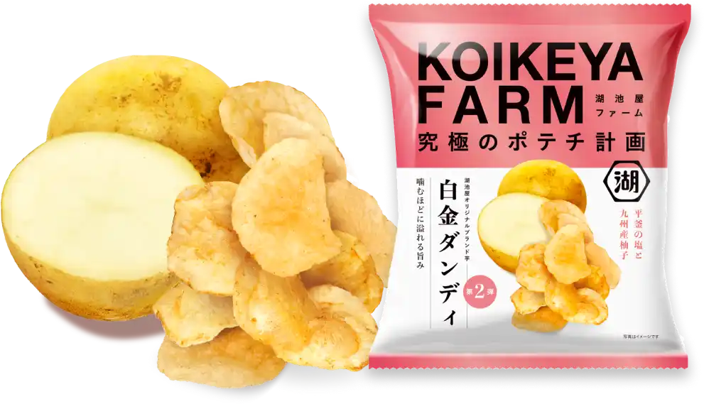 白金ダンディ 噛むほどに溢れる旨み