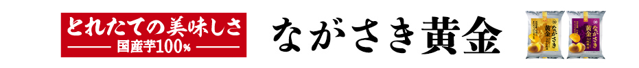 オンライン限定 ながさき黄金ポテトチップス