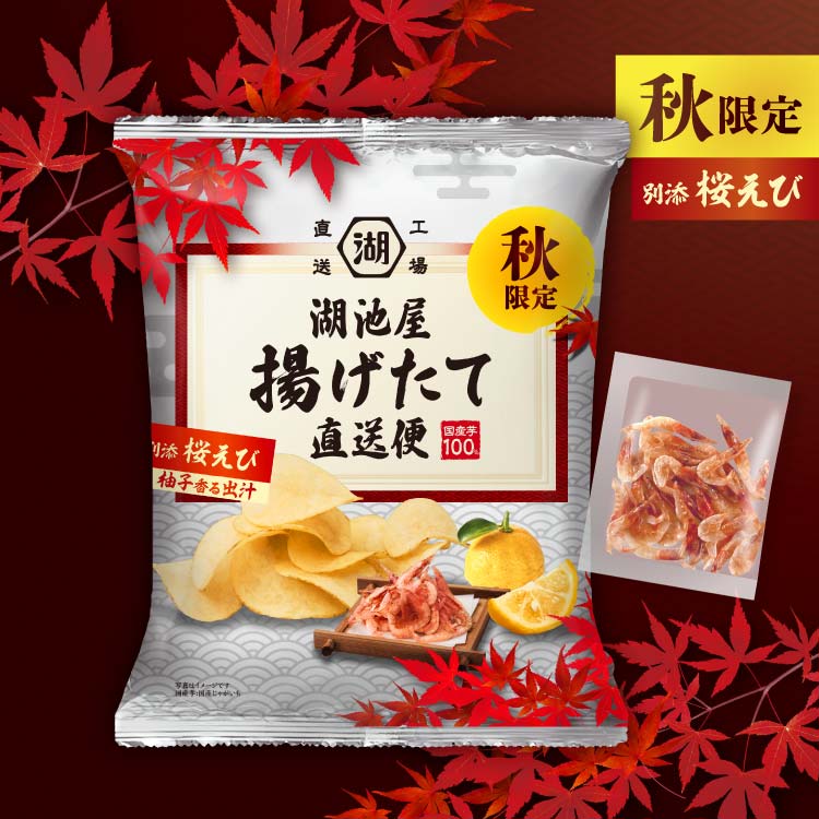 【26年6月賞味期限】湖池屋 秋の揚げたて直送便 柚子香る出汁