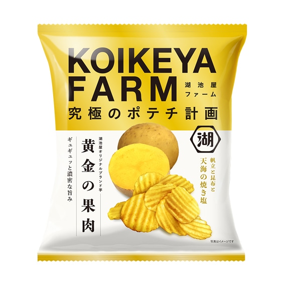 KOIKEYA FARM 黄金の果肉天海の焼き塩【旧デザイン】