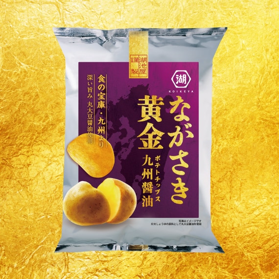 【アウトレット】ながさき黄金　九州醤油（2026年1月賞味期限）