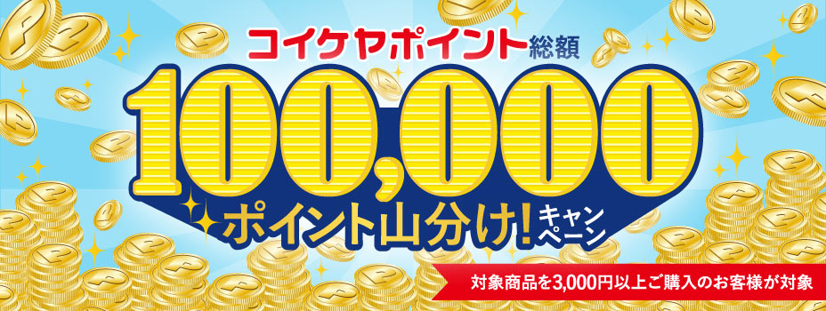 10万ポイント山分けキャンペーン