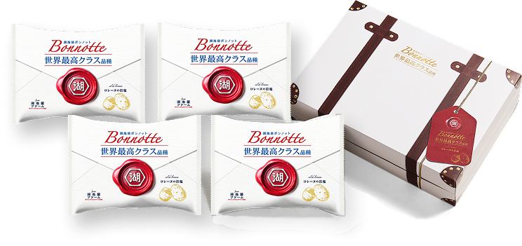 湖池屋ボンノット ロレーヌの岩塩 １箱55g×4袋入り