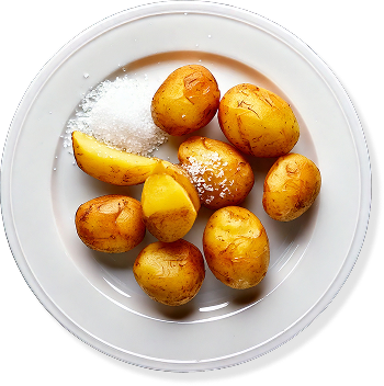 フランス ロレーヌの岩塩を使用