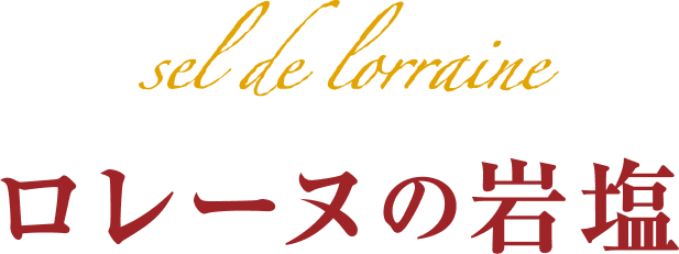 ロレーヌの岩塩フレーバーのボンノット ポテトチップス