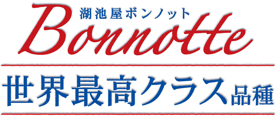 世界最高クラス品種のじゃがいもを使用したポテトチップス 湖池屋ボンノット（Bonnotte）