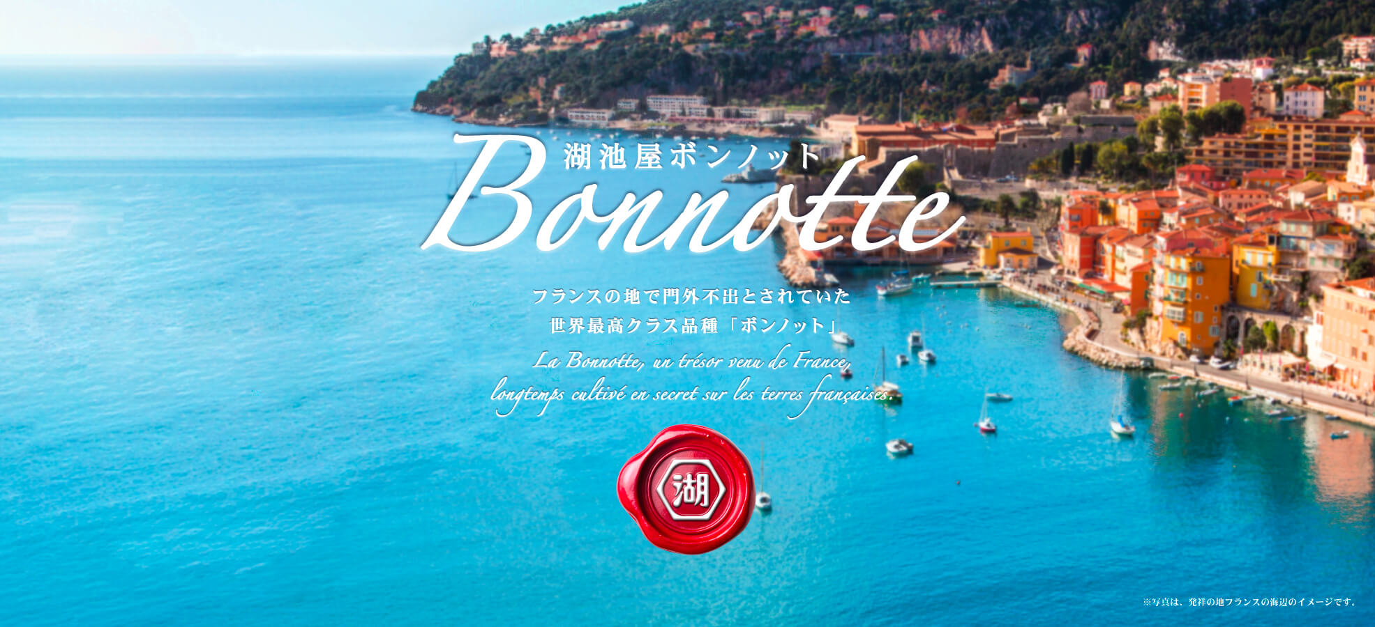 湖池屋ボンノット 世界最高クラス品種じゃがいもを使用した特別なポテトチップス