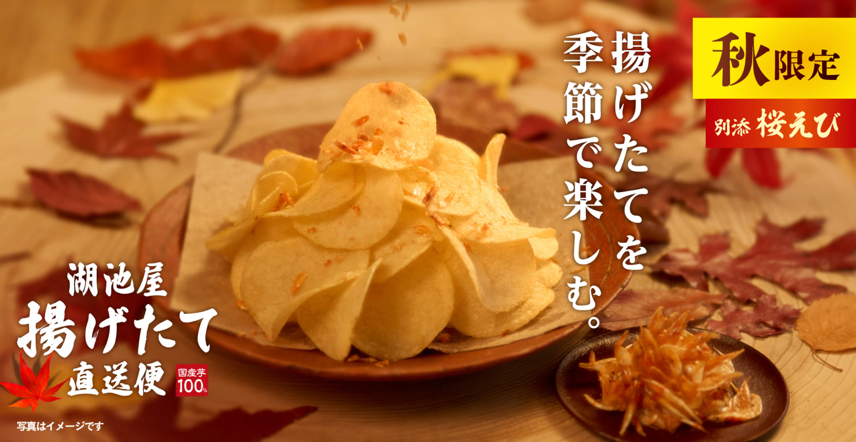 秋限定 湖池屋 秋の揚げたて直送便（工場直送便）ポテトチップス 柚子香る出汁