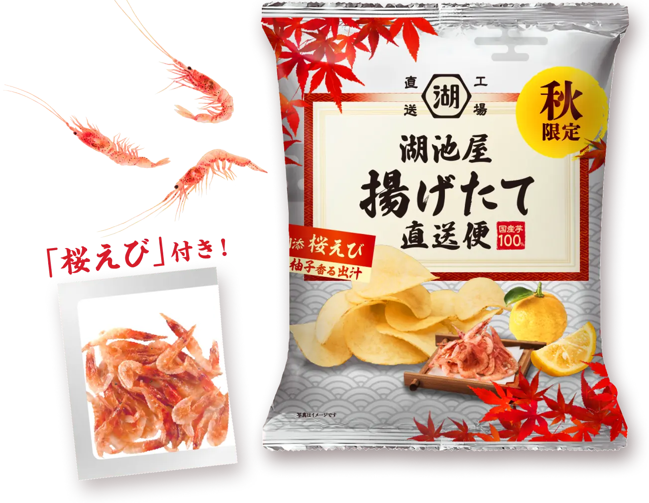 湖池屋 秋の揚げたて直送便 柚子香る出汁 「桜えび」付き!