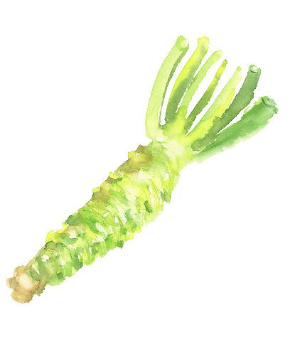 安曇野産本わさび