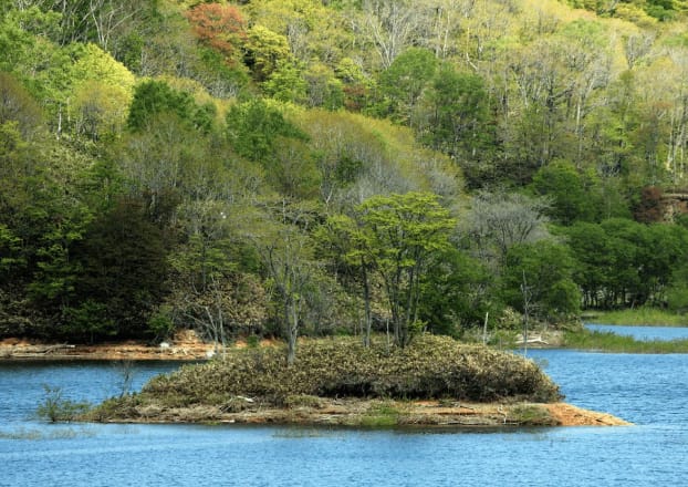 今金町に流れる日本有数の清流 後志利別川