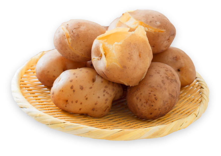 最高クラスの三方原馬鈴薯