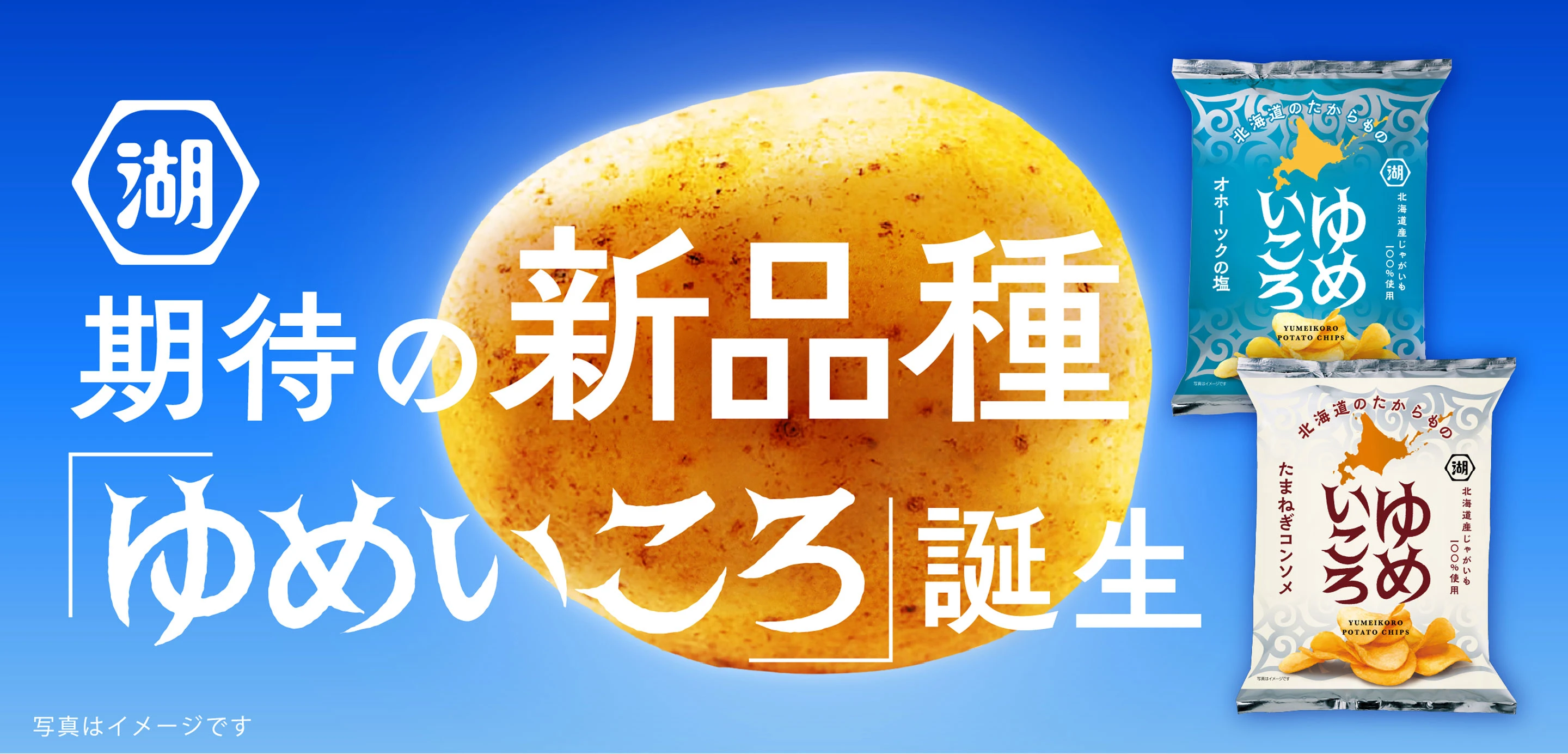 ゆめいころ 北海道の期待の新品種を使ったポテトチップス