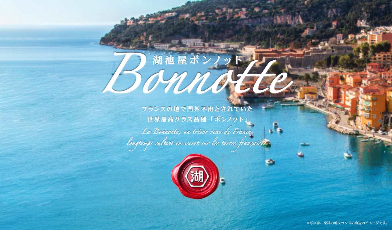 世界最高クラス品種のじゃがいもを使用したポテトチップス 湖池屋ボンノット（Bonnotte）