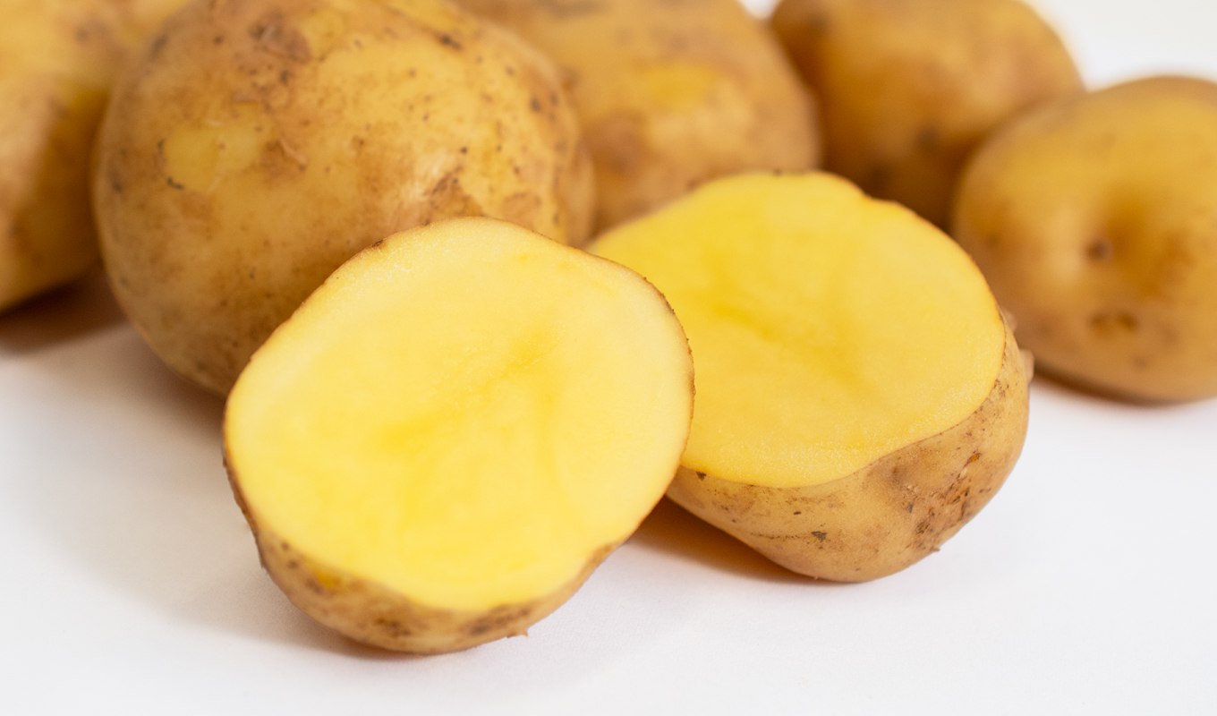 ボンノットは海藻を混ぜた土壌で栽培することで、海の香りとほんのりとした塩味が感じられるじゃがいもです