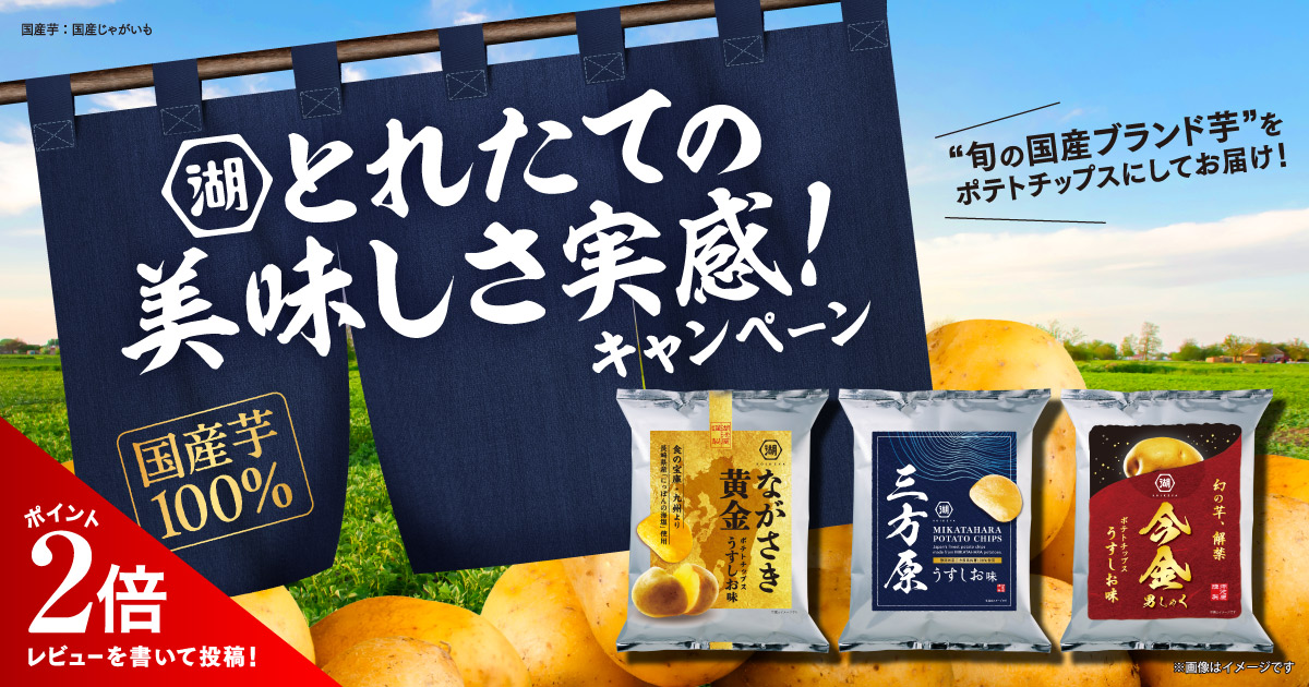 とれたての美味しさ実感！キャンペーン